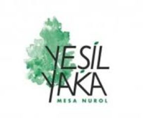 YEŞİL YAKA MESA NUROL VİLLALARI